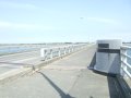 307-d0418_13-05s.jpg.small.jpeg