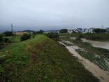thumbnails/040-DSC_0518.jpg.small.jpeg