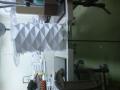 img005.jpeg.small.jpeg