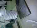 img006.jpeg.small.jpeg
