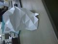 img011.jpeg.small.jpeg