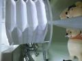 img035.jpeg.small.jpeg