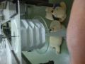 img037.jpeg.small.jpeg