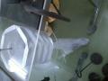 img040.jpeg.small.jpeg
