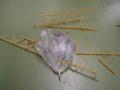 img015.jpeg.small.jpeg