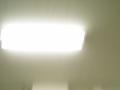 img030.jpeg.small.jpeg