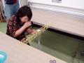 img034.jpeg.small.jpeg