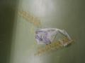 img039.jpeg.small.jpeg