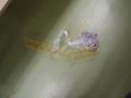 img065.jpeg.small.jpeg