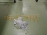 img013.jpeg.small.jpeg