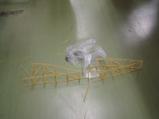 img014.jpeg.small.jpeg