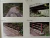 html/P1010037.html