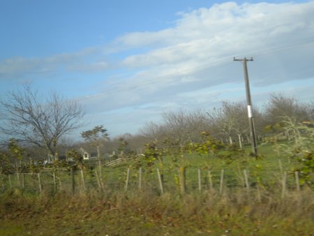106-DSCN2968.JPG.medium.jpeg