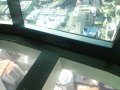 244-DSC_2403.JPG.small.jpeg
