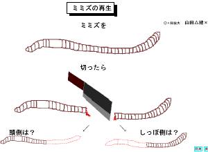 良いプレゼンと悪いプレゼン