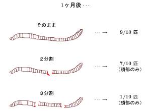 良いプレゼンと悪いプレゼン