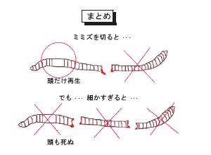 良いプレゼンと悪いプレゼン